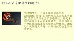 enzo鱦,ENZOǸʲôӣ