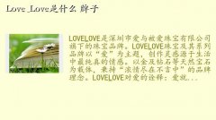 lovelove鱦,Love & Loveʲô 