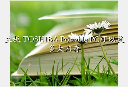  TOSHIBA Portable PCԻڴ